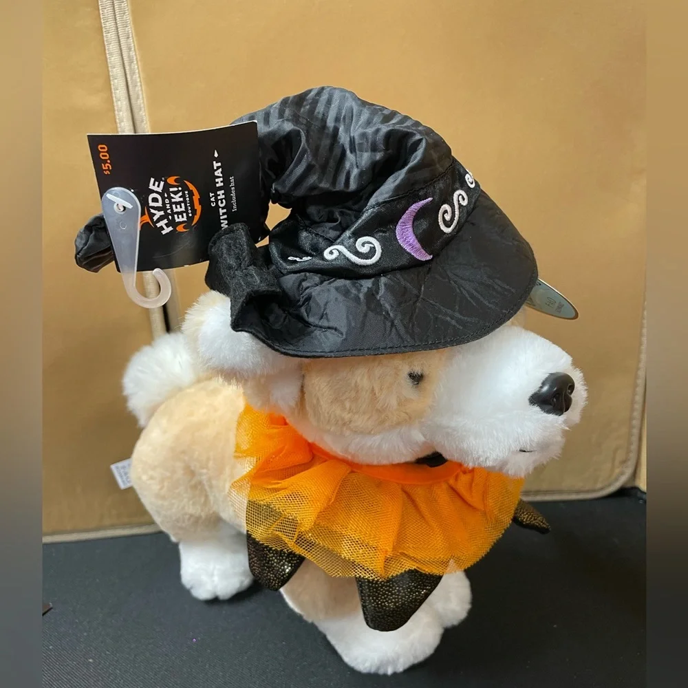 Dog outfit Witches hat, and cat ruff